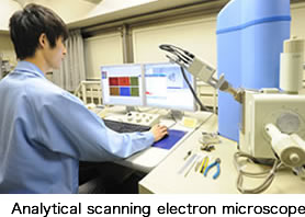 Analytical scanning electron microscope
