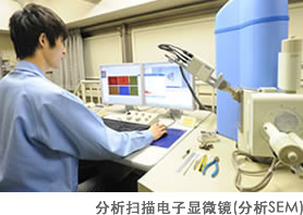 分析扫描电子显微镜(分析SEM)